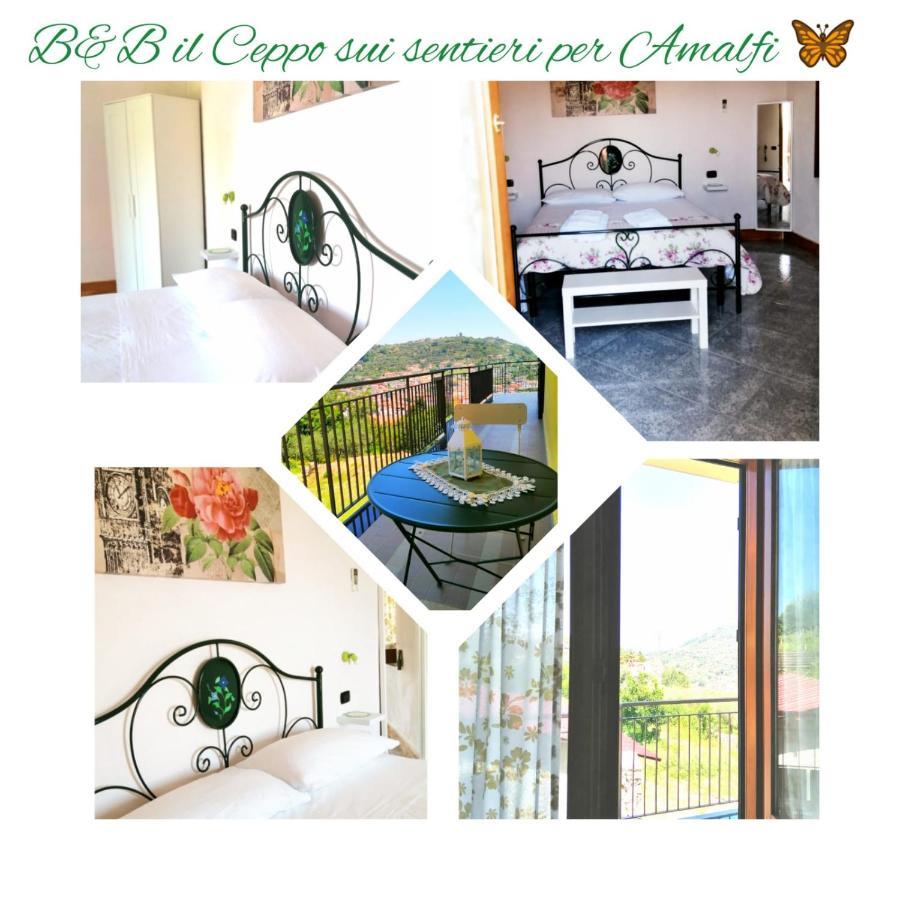 Il Ceppo Sui Sentieri Per Amalfi Bed and Breakfast Pimonte Exteriör bild